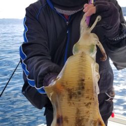 ソルトウォーターガイドフレンズ 釣果