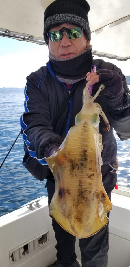 ソルトウォーターガイドフレンズ 釣果