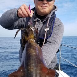 ソルトウォーターガイドフレンズ 釣果