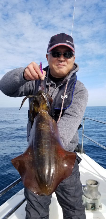 ソルトウォーターガイドフレンズ 釣果