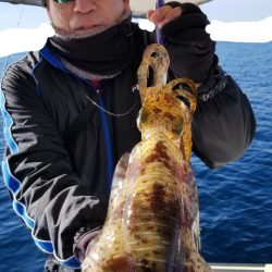 ソルトウォーターガイドフレンズ 釣果