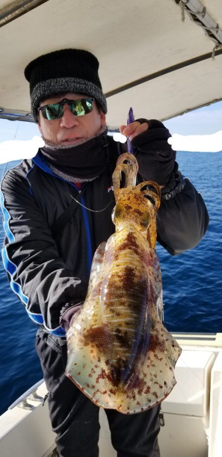 ソルトウォーターガイドフレンズ 釣果