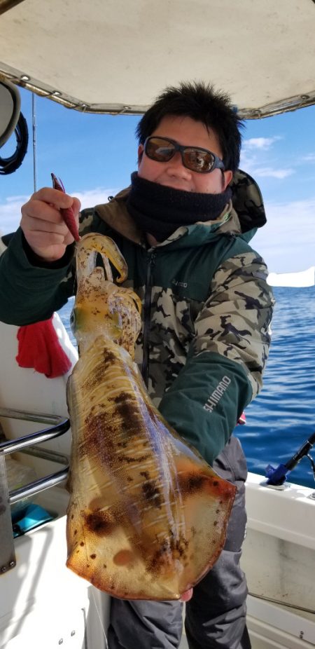 ソルトウォーターガイドフレンズ 釣果