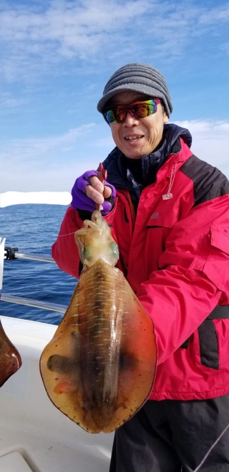 ソルトウォーターガイドフレンズ 釣果