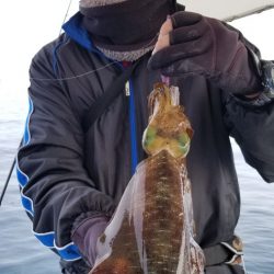 ソルトウォーターガイドフレンズ 釣果