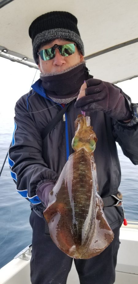 ソルトウォーターガイドフレンズ 釣果