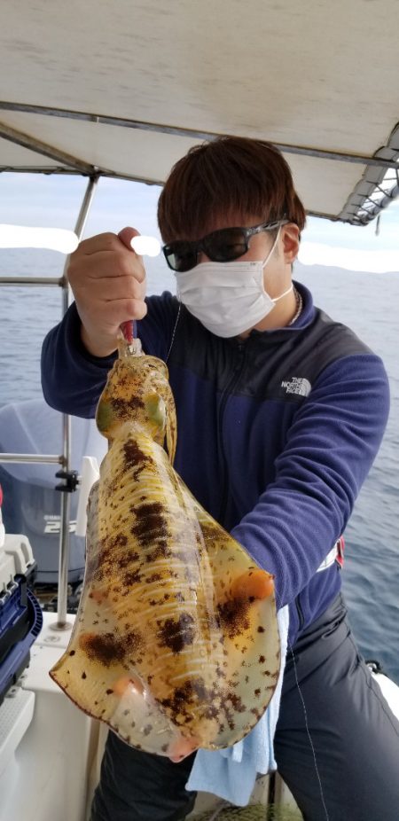 ソルトウォーターガイドフレンズ 釣果