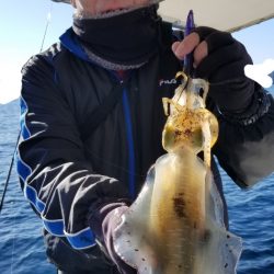 ソルトウォーターガイドフレンズ 釣果