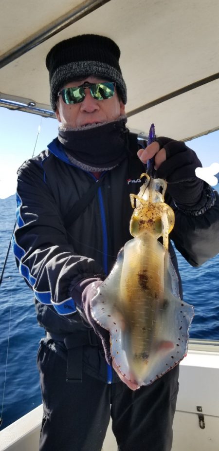 ソルトウォーターガイドフレンズ 釣果