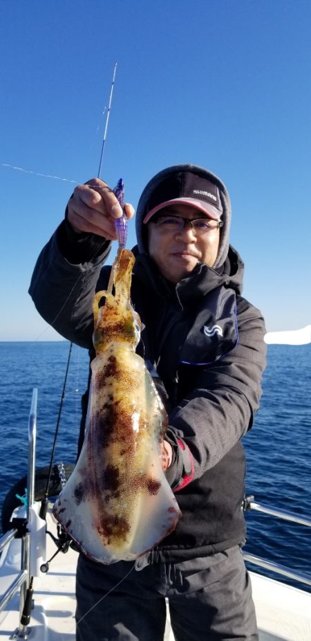 ソルトウォーターガイドフレンズ 釣果