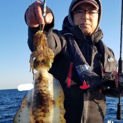 ソルトウォーターガイドフレンズ 釣果