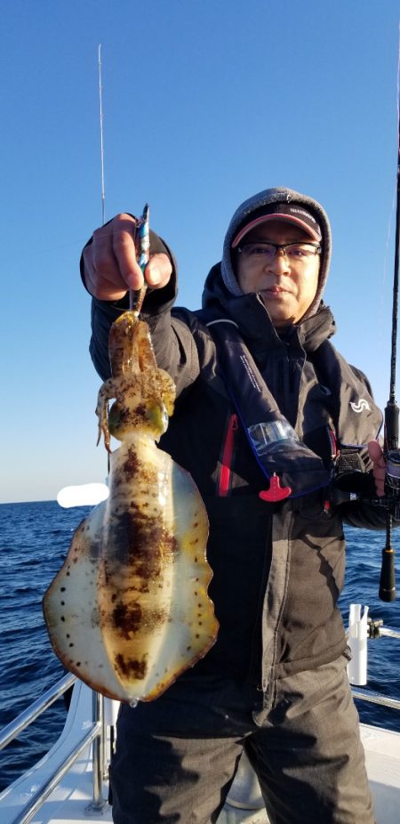 ソルトウォーターガイドフレンズ 釣果