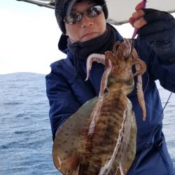 ソルトウォーターガイドフレンズ 釣果