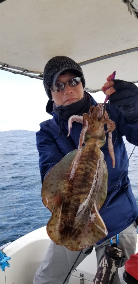 ソルトウォーターガイドフレンズ 釣果