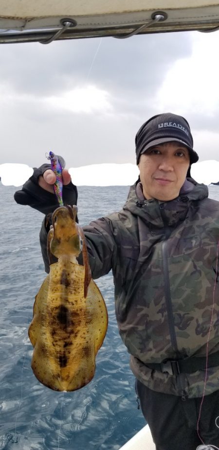 ソルトウォーターガイドフレンズ 釣果