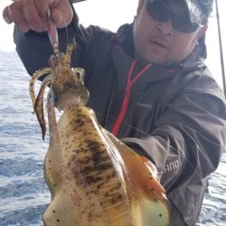 ソルトウォーターガイドフレンズ 釣果