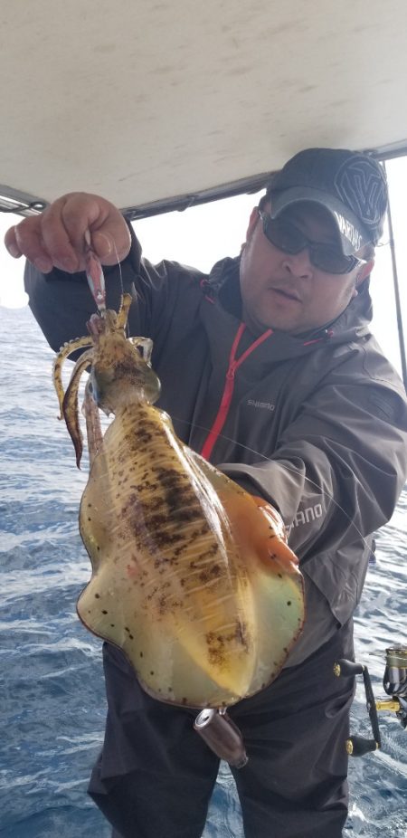 ソルトウォーターガイドフレンズ 釣果