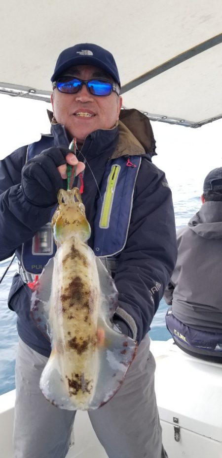 ソルトウォーターガイドフレンズ 釣果