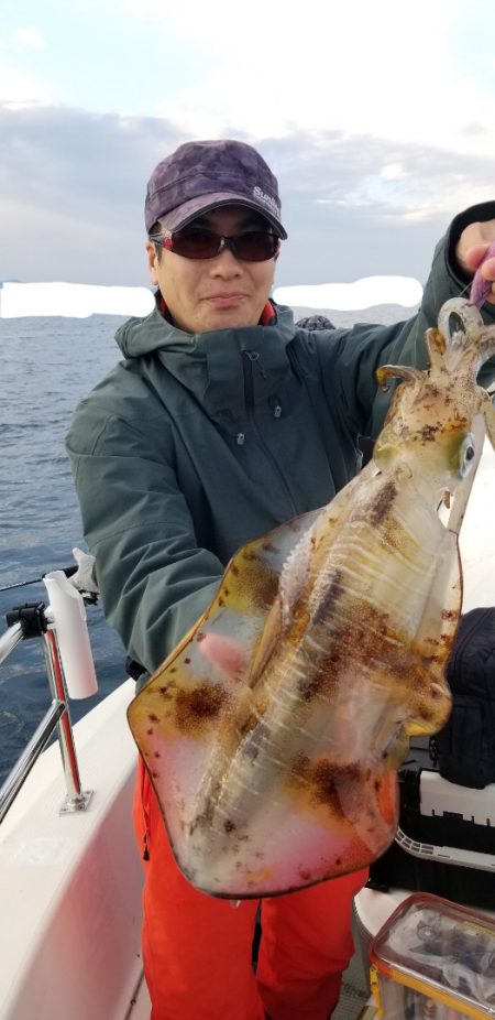 ソルトウォーターガイドフレンズ 釣果