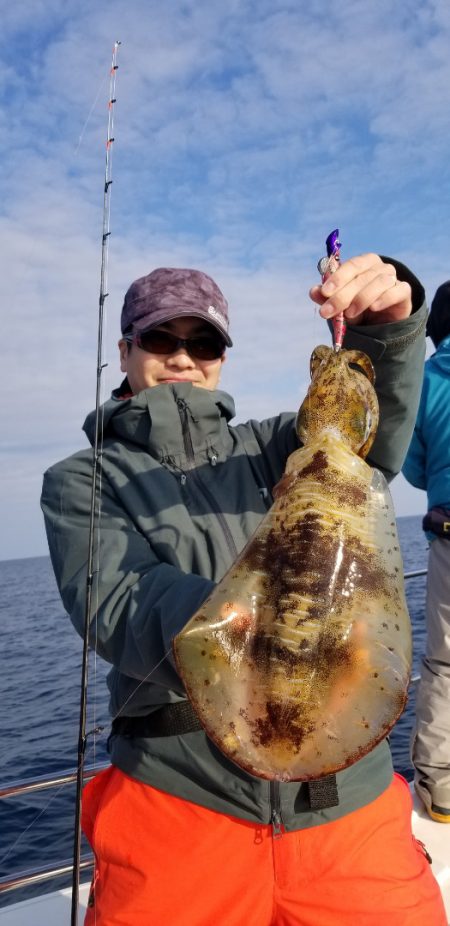 ソルトウォーターガイドフレンズ 釣果