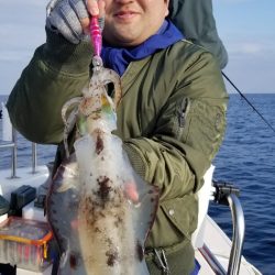 ソルトウォーターガイドフレンズ 釣果