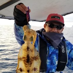 ソルトウォーターガイドフレンズ 釣果