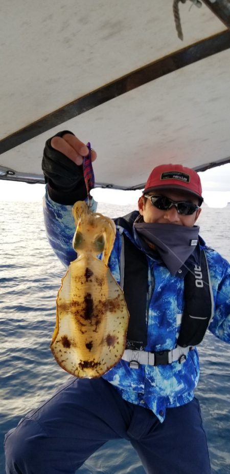 ソルトウォーターガイドフレンズ 釣果