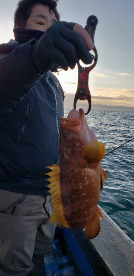 海龍丸(石川) 釣果