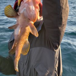 海龍丸(石川) 釣果