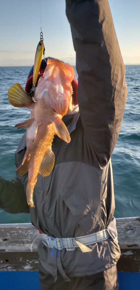 海龍丸(石川) 釣果