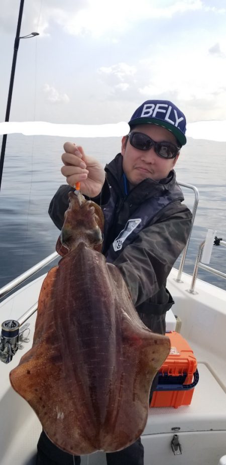 ソルトウォーターガイドフレンズ 釣果