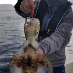 ソルトウォーターガイドフレンズ 釣果