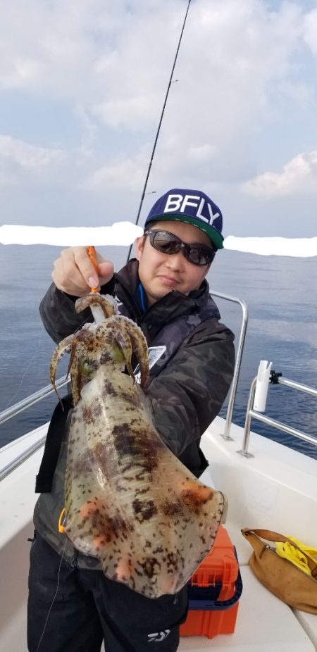 ソルトウォーターガイドフレンズ 釣果