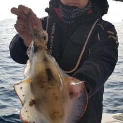 ソルトウォーターガイドフレンズ 釣果