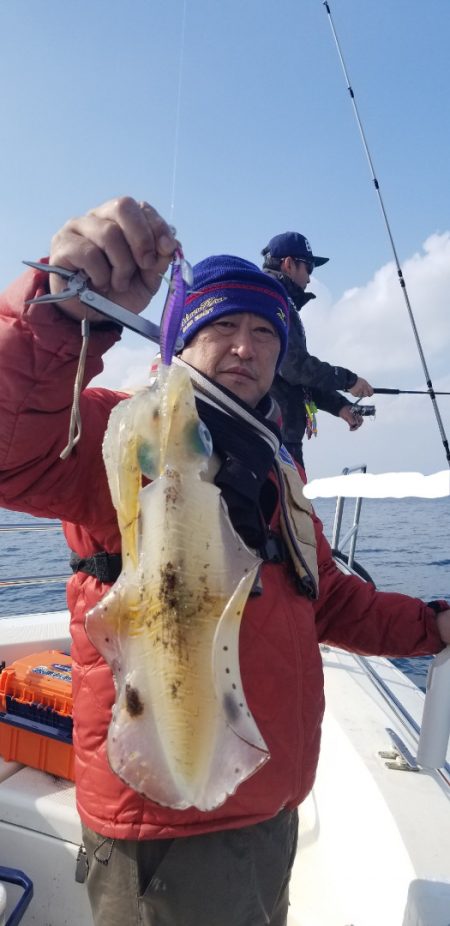 ソルトウォーターガイドフレンズ 釣果