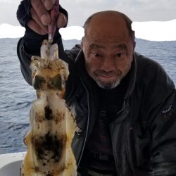 ソルトウォーターガイドフレンズ 釣果