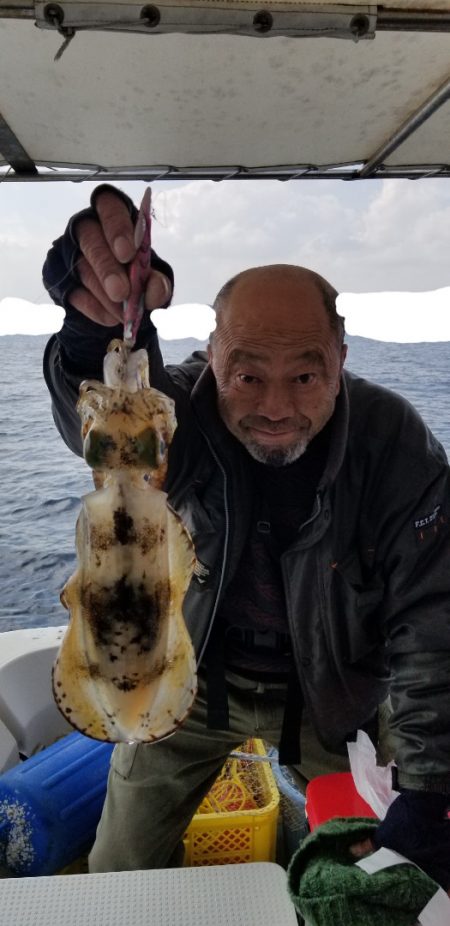 ソルトウォーターガイドフレンズ 釣果