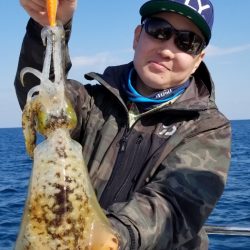 ソルトウォーターガイドフレンズ 釣果