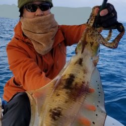 ソルトウォーターガイドフレンズ 釣果