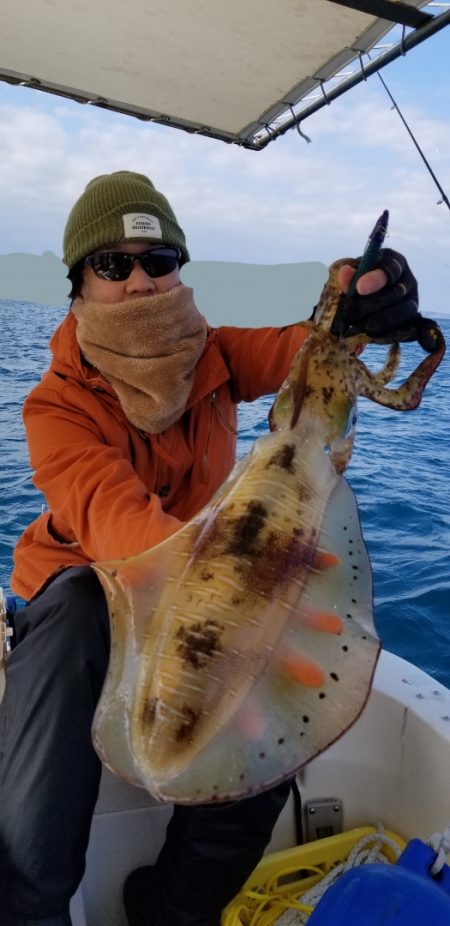 ソルトウォーターガイドフレンズ 釣果