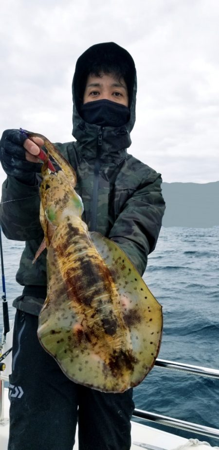 ソルトウォーターガイドフレンズ 釣果