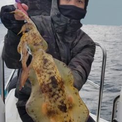 ソルトウォーターガイドフレンズ 釣果