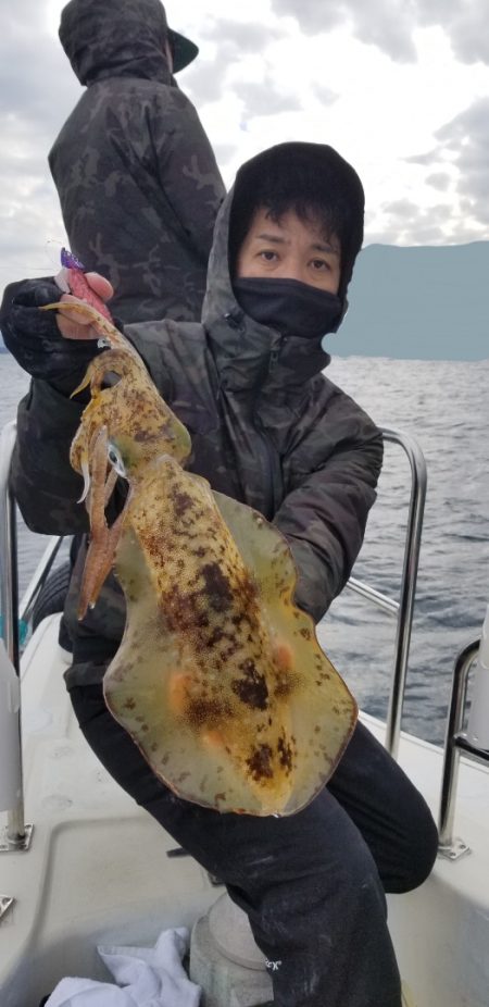 ソルトウォーターガイドフレンズ 釣果