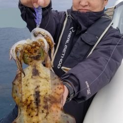 ソルトウォーターガイドフレンズ 釣果