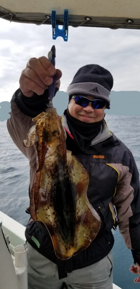 ソルトウォーターガイドフレンズ 釣果