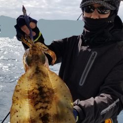 ソルトウォーターガイドフレンズ 釣果