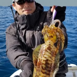 ソルトウォーターガイドフレンズ 釣果