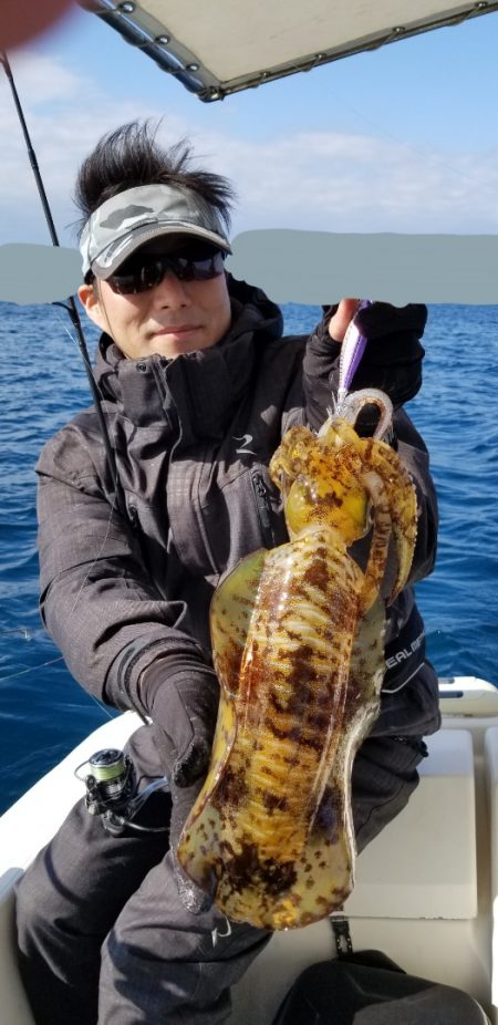 ソルトウォーターガイドフレンズ 釣果