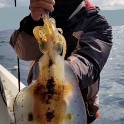 ソルトウォーターガイドフレンズ 釣果