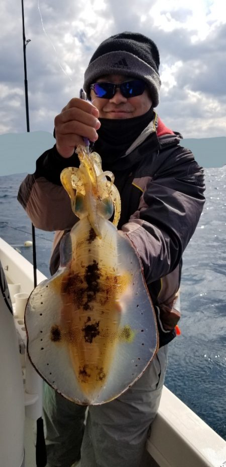 ソルトウォーターガイドフレンズ 釣果